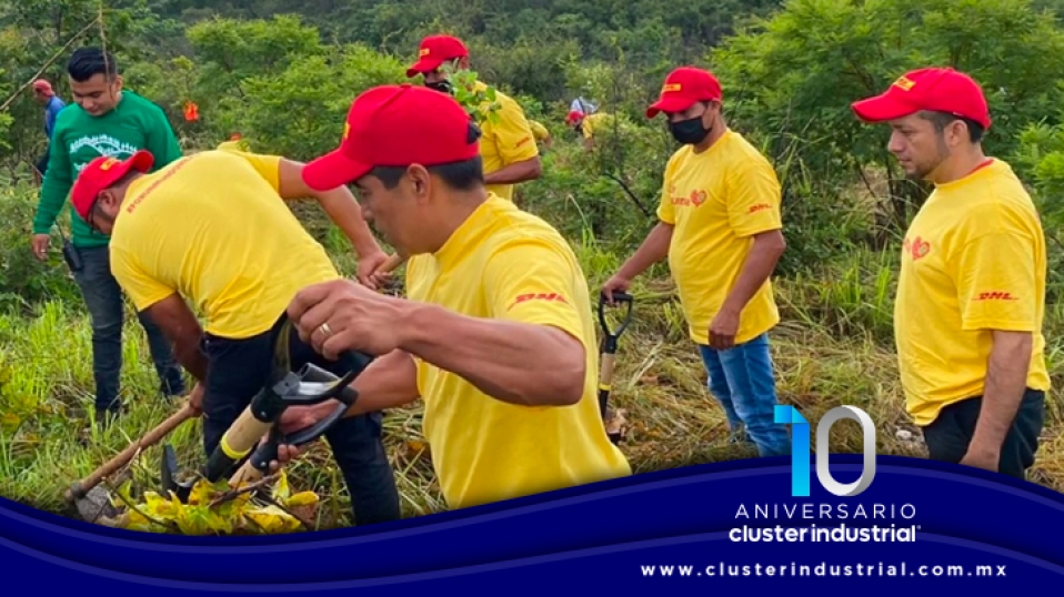 Cluster Industrial - DHL Express recibe reconocimiento por sus actividades de reforestación