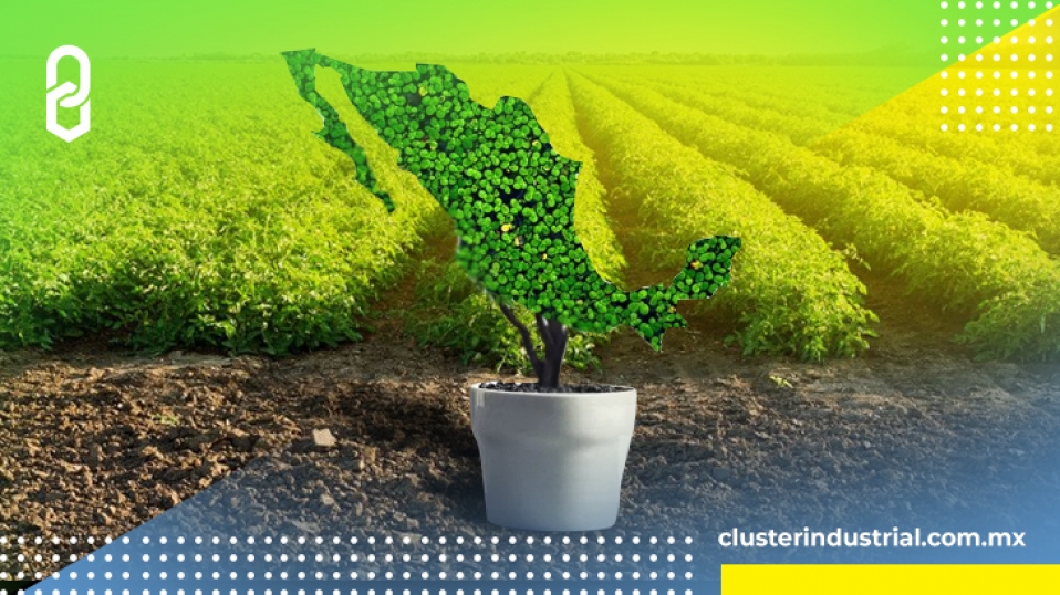 Cluster Industrial - El sector agroalimentario mexicano registró un supéravit mayor a los 3 mil millones de pesos
