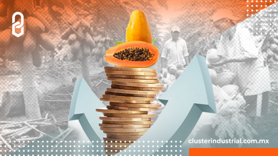 Cluster Industrial - La producción de papaya subió 3.2% en México