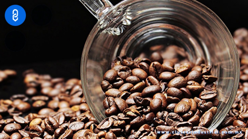 Cluster Industrial - México ocupa la decimoprimera posición como productor de café a nivel mundial