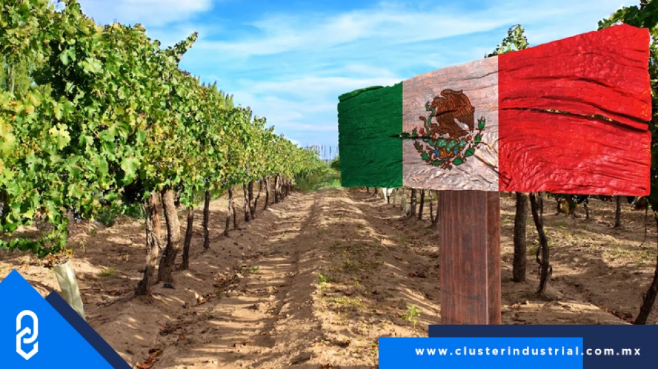 Cluster Industrial - México será el epicentro vinícola mundial