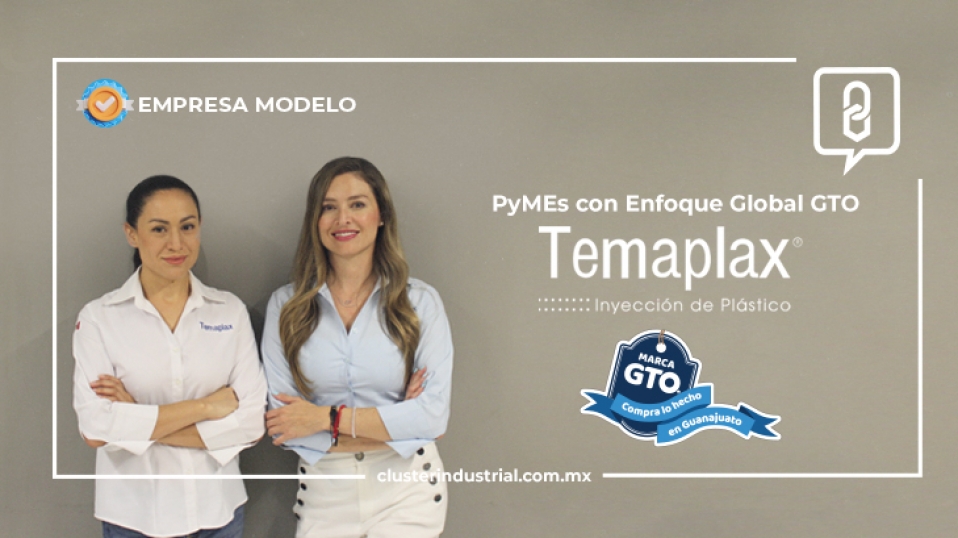 Cluster Industrial - PyMEs con Enfoque Global GTO: Temaplax